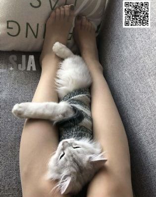 成人欧美一区二区三区黑人免_BD韩语天堂在线
